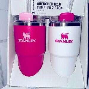 Stanley Pink Vibes 20 oz Tumbler New